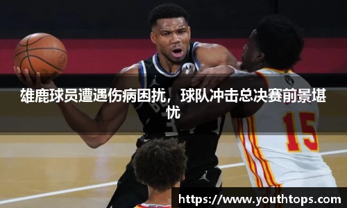 雷竞技官网平台